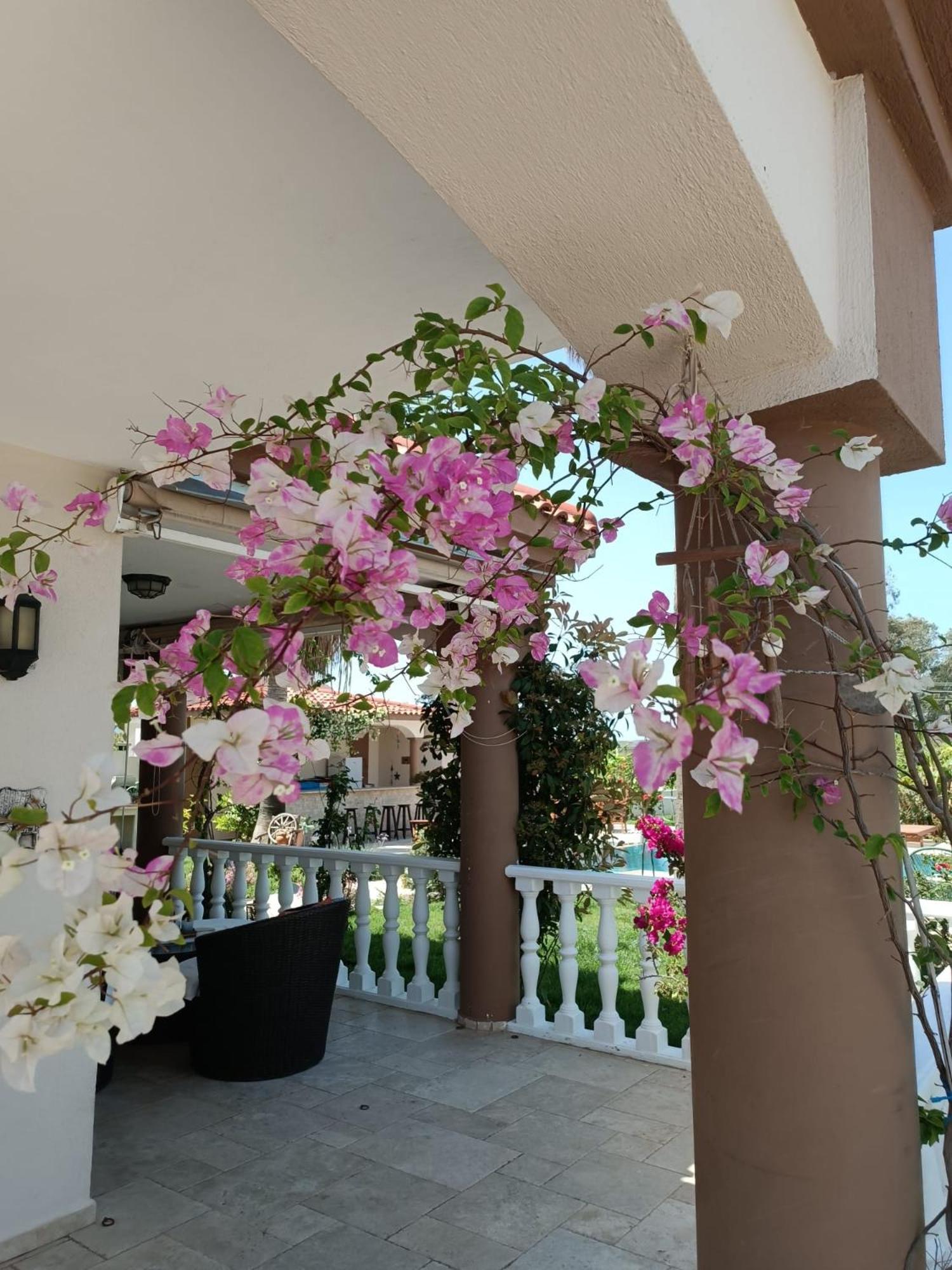 Villa Bade Dalyan Ngoại thất bức ảnh